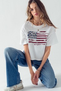 BLAIRE AMERICAN STRIPES AND DAISIES GRAPHIC TOP
